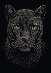 Detailed black panther face in fine hand-drawn ink style, with intense gaze and realistic fur texture on black background.