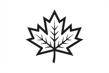 Simple Maple Leaf Outline in Black and White, Vector Art