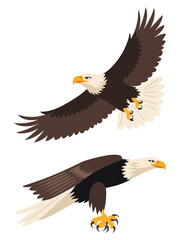 Eagle Birds Set Flying and Sitting Bald Eagles