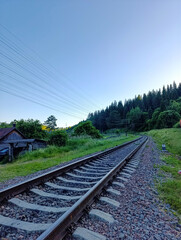 A train track in the middle of a grassy field next to a forest