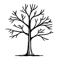 Obraz premium Winter Tree Line Art Illustration