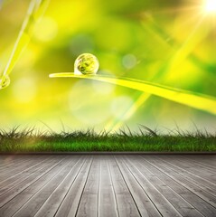 Obraz premium Wooden planks against dew on grass