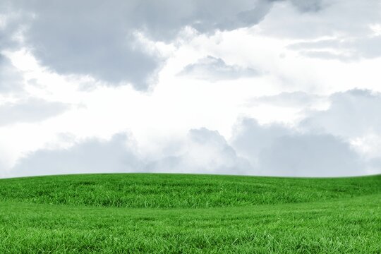 Fototapeta Rolling green grassy hill is rising under thick gray clouds in flat design composition