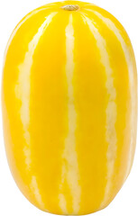 One Yellow Korean Melon from Korea


