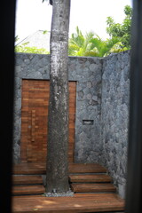Large Tree Growing in Front of Doorway