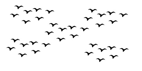 Flying Birds Vector And Illustration. Eps 10