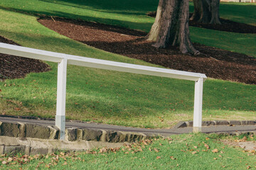 morning park landscape with shadows on lawn