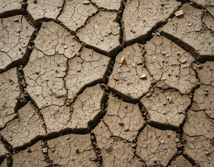 cracked earth texture