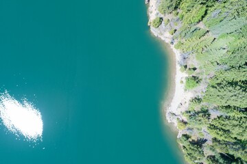 Fototapeta premium View of river by forest on sunny day