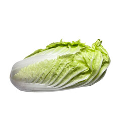 cabbage isolated on white background