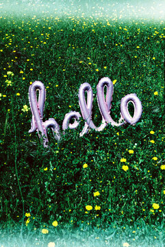 balloon in the shape of the word hello in a flower field, 35mm