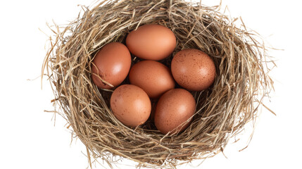 A nest containing several brown eggs on a white isolated background.