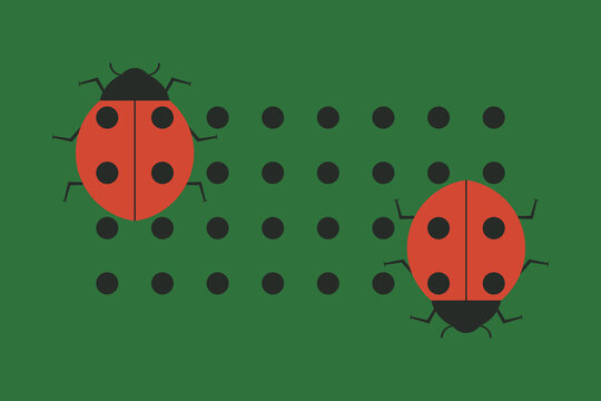 Two geometric ladybugs