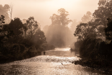 misty morning at Dargo River