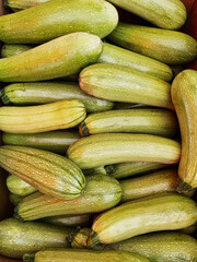 Green zucchini squash as background image. Stock photo fresh organic zucchini market background