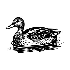 A vintage style illustration showing mallard