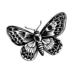 A glyph style illustration representing tiger moth