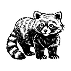 A vintage style illustration showing red panda