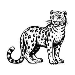A glyph style illustration representing leopard