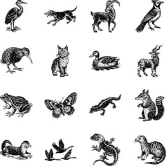 Set of Creatures Vintage Style Illustrations

