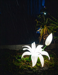 A glowing white flower illuminated in the rain at night, enhancing outdoor ambiance.