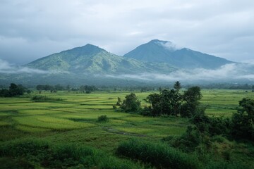 Serene landscape featuring two majestic, mist-shrouded mountains overlooking a verdant valley with rice paddies