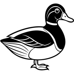 Wood Duck Silhouette Outline Vector