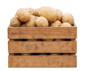 Fresh Organic Potatoes in Wooden Crate Isolated on transparent Background. Healthy Farm Produce Ready for Cooking or Market Display.
