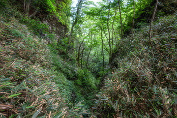 新緑の奥久慈男体山　登山風景
