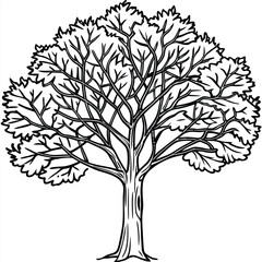 Obraz premium Fall tree outline coloring book page line art illustration 