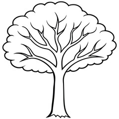 Fall tree outline coloring book page line art illustration 