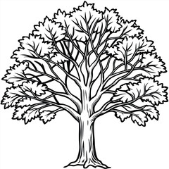 Obraz premium Fall tree outline coloring book page line art illustration 