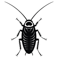 vector illustration of a black and white beetle