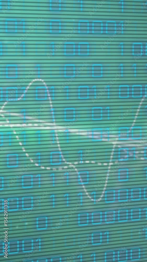 Poster animation of binary coding data processing over networks of connections