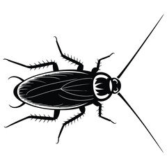 black and white beetle