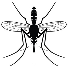 dragonfly vector illustration