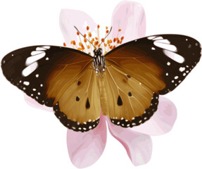 Butterfly perched on flower vector illustration