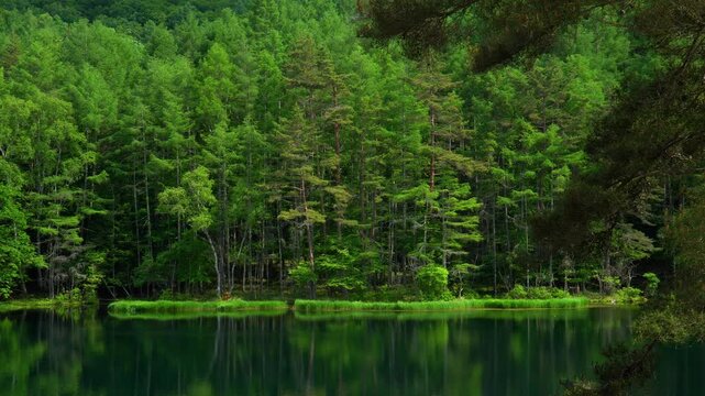 初夏の御射鹿池