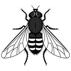 bee vector illustration