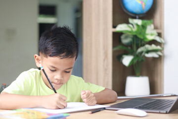 Young boy studying and doing homework at home with notebook and laptop. Concept of distance...