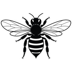 bee vector illustration