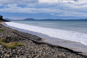 Driftwood and pebbles on the beach - Swansea, Tasmania, Australia