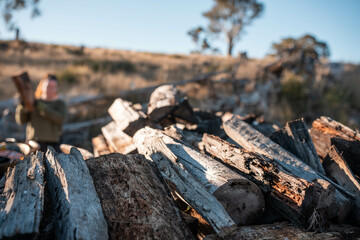 stacking firewood on the back of a ute sustainably sourced from the forest in australia