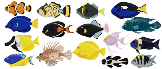 vector drawing set of tropical fishes isolated at white background, hand drawn illustration