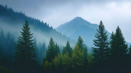 Fototapeta premium Serene Mountain Landscape with Fog and Dense Evergreen Trees