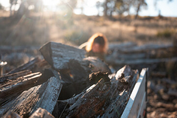 stacking firewood on the back of a ute sustainably sourced from the forest in australia