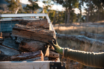 stacking firewood on the back of a ute sustainably sourced from the forest in australia