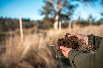 women in agriculture looking at a soil sample. girl on a farm looking at plant roots, female farmer...
