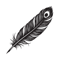 Obraz premium Elegant vector illustration of a peacock feather featuring detailed lines on white background set