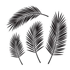 Obraz premium Elegant vector illustration of palm leaves in black and white a versatile ornament set